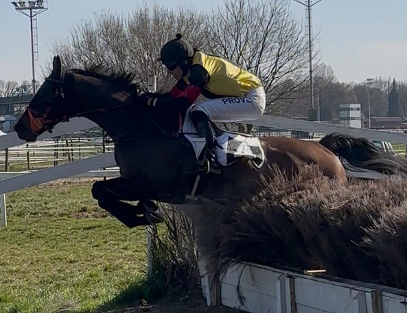 ITALIA. Krokodile Dundee sbanca lo Steeple Chase di Treviso, battuto il campione in carica Natam e il compagno di colori Le Petit Nice. In giornata bene Dagoberto fra i quattro anni, ok anche Jeu Tentant