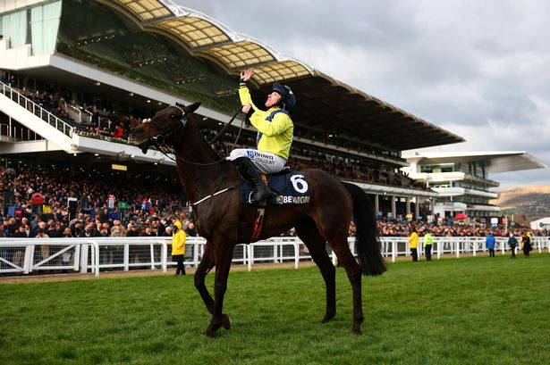 INGHILTERRA. Cheltenham day two. Marine Nationale vince il Queen Mother Champion Chase. Successo carico di commozione nel ricordo del suo ex jockey Michael O’Sullivan. Quilixios cade alla finale, Jonbon finisce secondo a distacco dopo un clamoroso svarione